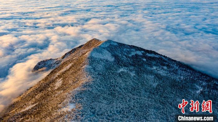圖為朱雀國家森林公園內(nèi)初冬雪景?！≈烊竾疑止珗@供圖