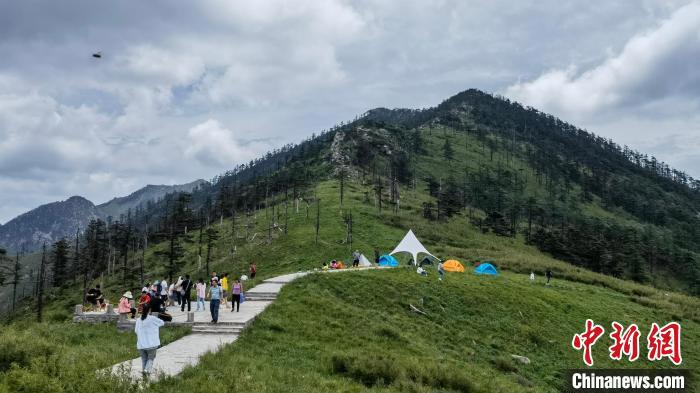圖為游人在秦嶺山間踏青?！≈烊竾?guó)家森林公園供圖