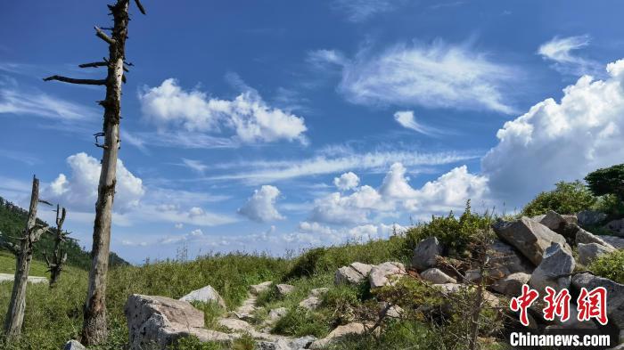 圖為秦嶺山間一景?！≈烊竾?guó)家森林公園供圖