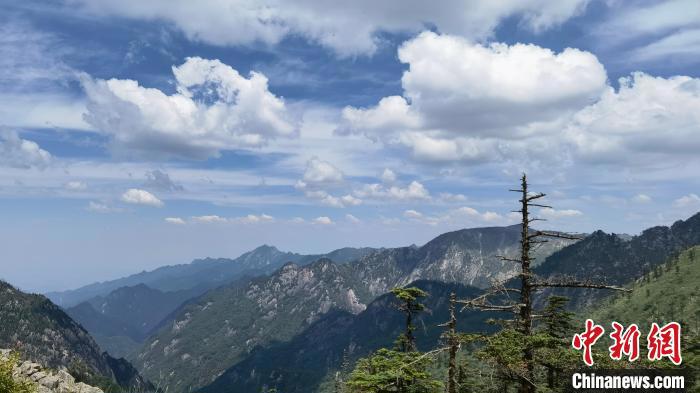 圖為綿延的秦嶺山巒?！≈烊竾?guó)家森林公園供圖