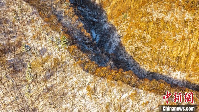 圖為秦嶺山間?！√絿?guó)家森林公園供圖