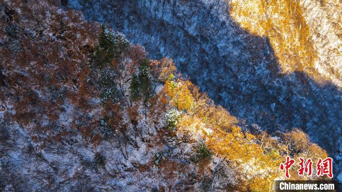 圖為金色晨光“綴”崖間。　太平國(guó)家森林公園供圖