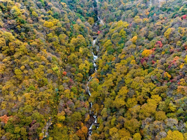 走進(jìn)多彩太平 看見大美秦嶺 ——“美好西旅 詩(shī)畫秦嶺” 活動(dòng)啟動(dòng)