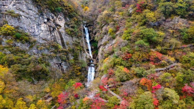 走進(jìn)多彩太平 看見大美秦嶺 ——“美好西旅 詩(shī)畫秦嶺” 活動(dòng)啟動(dòng)